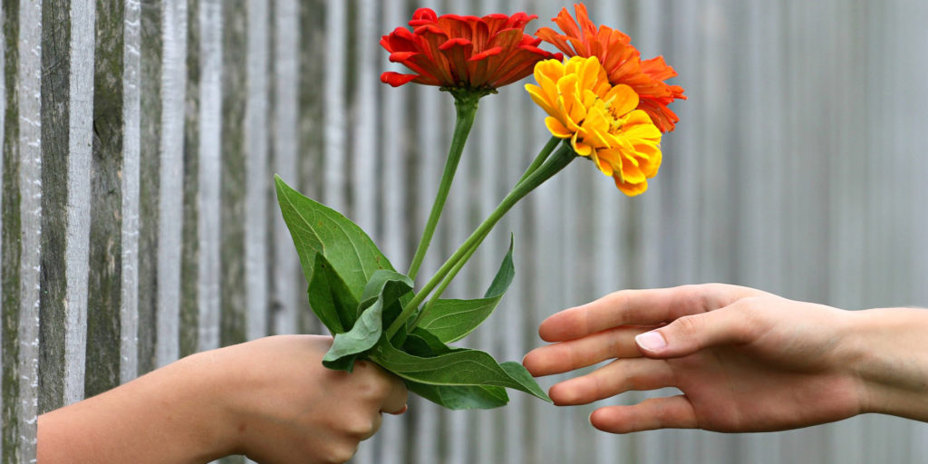 A hand reaches for a bunch of flowers from another hand through a fence.